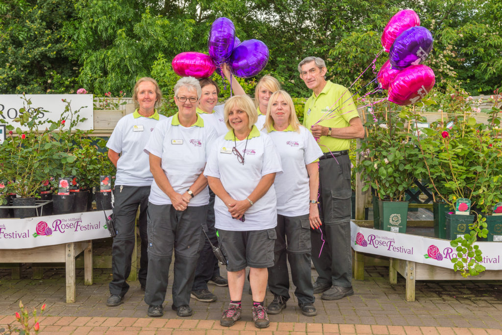 Millbrook Garden Centre Rose Festival Event
